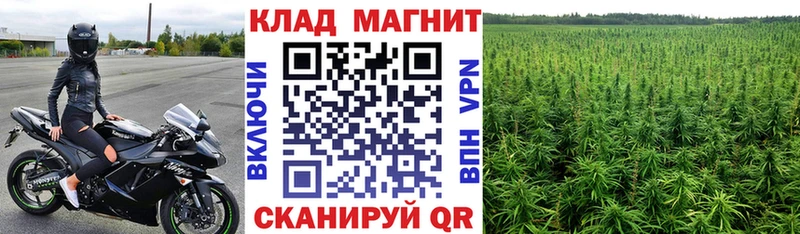 Галлюциногенные грибы Дыгулыбгей