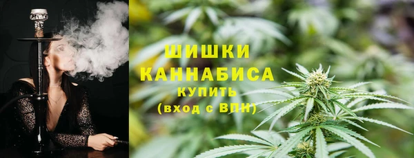 МДПВ Лиски