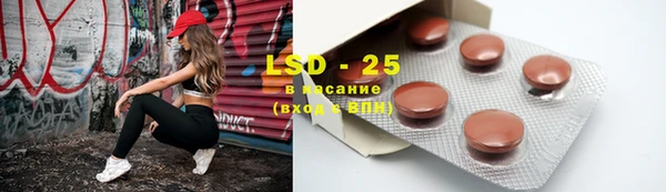 дживик Липки