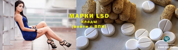 дживик Липки