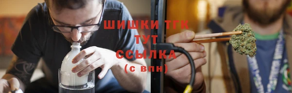 дживик Липки