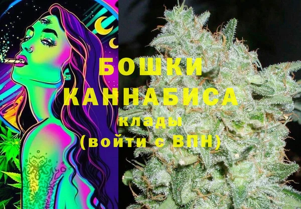МДПВ Лиски