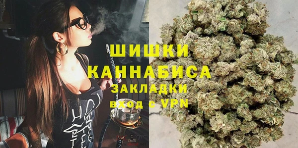 дживик Липки