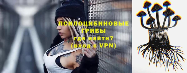 МДПВ Лиски