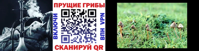 Псилоцибиновые грибы MAGIC MUSHROOMS  кракен сайт  Дыгулыбгей 